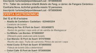 Programa pel pont del 12 al 15
