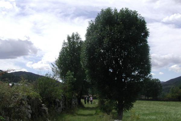 Ruta de la vall de Barravés imatge