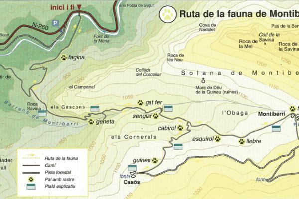 Route de la faune de Montiberri imatge