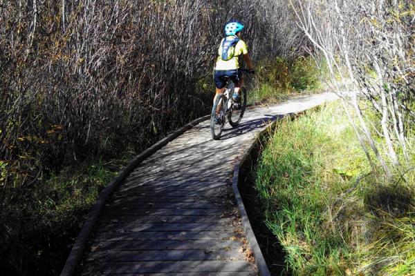 Ruta del Salencar de Barruera imatge